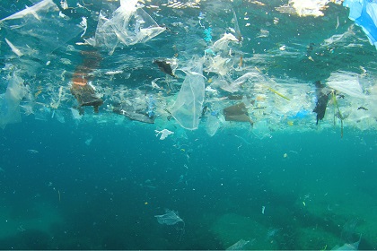 Tuneable bioplastic may revolutionise industry